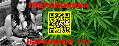 амф Партизанск