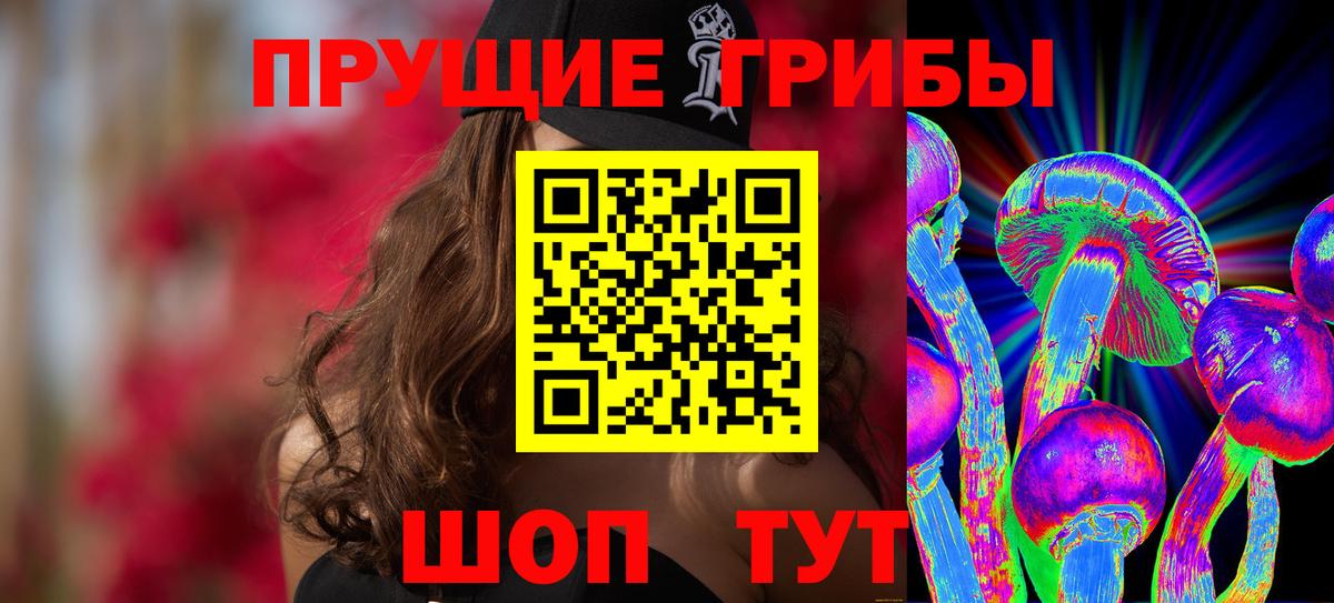 Галлюциногенные грибы Psilocybine cubensis Обнинск