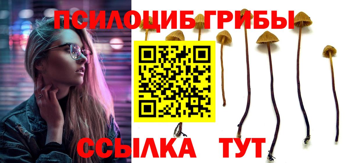 как найти наркотики  Галлюциногенные грибы Psilocybine cubensis  Вход с VPN  Галлюциногенные грибы Magic Shrooms  Обнинск 